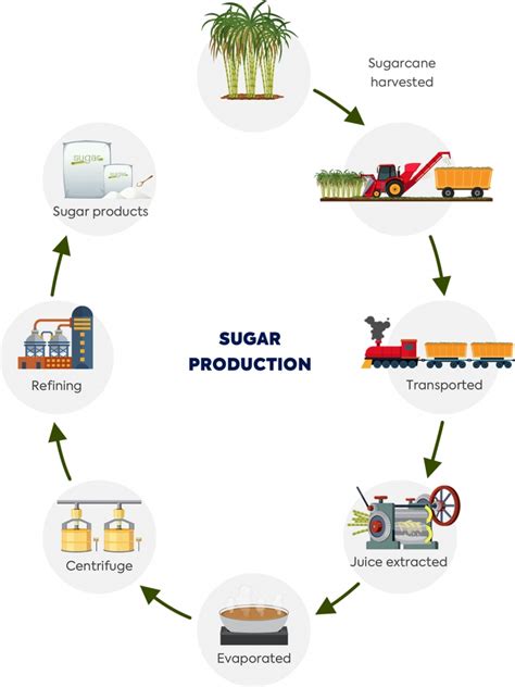 Oct 19, 2023 · Hi, and thanks for watching! In this video, we'll take a closer look at sugar manufacturing, from sugarcane to sugar: the complete sugar production process.... 